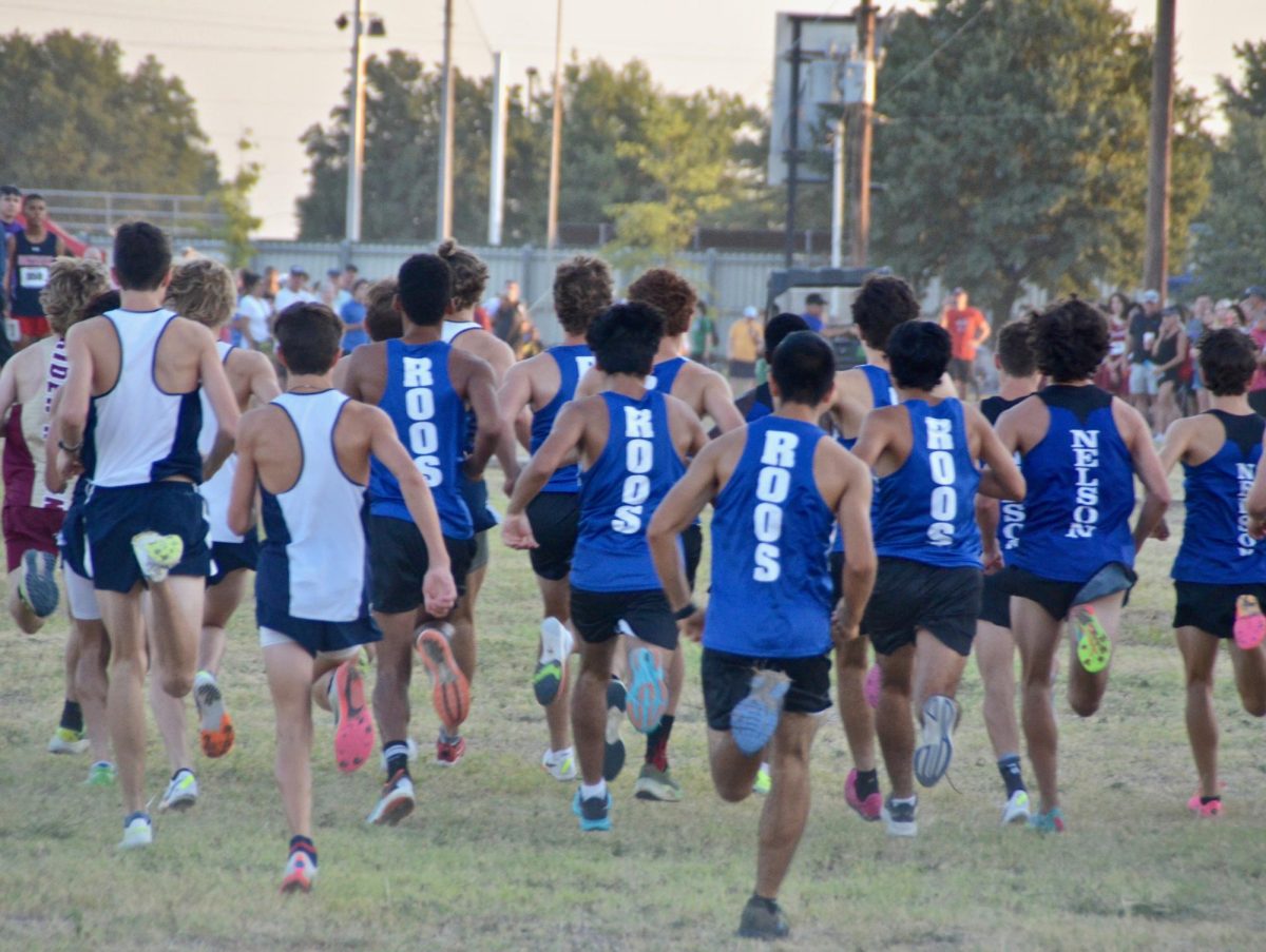Cross-Country Dominates at District