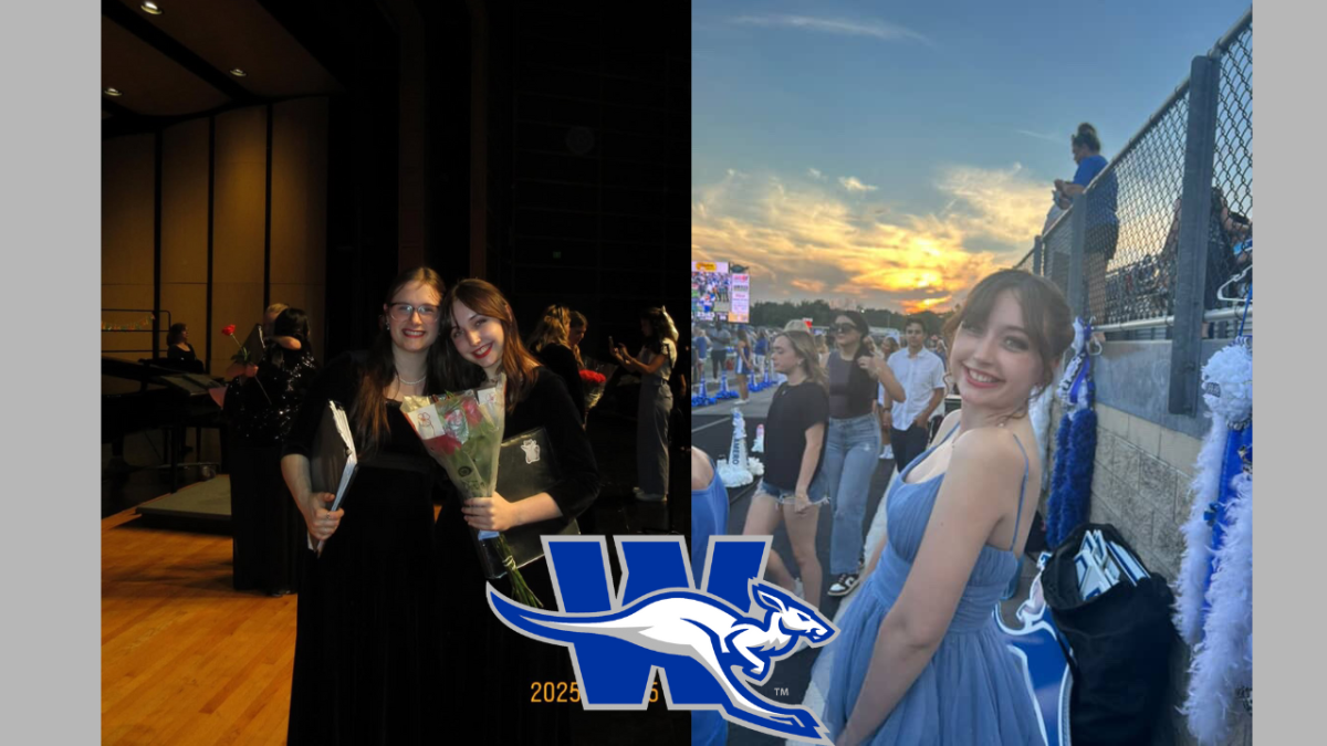 Student POV– Elizabeth Miller